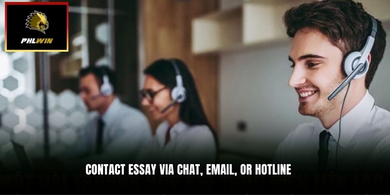 Contact essay via chat, email, or hotline