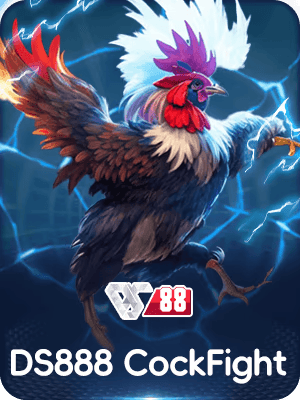 Cockfight