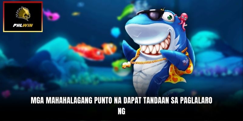 Mga Mahahalagang Punto na Dapat Tandaan sa Paglalaro ng